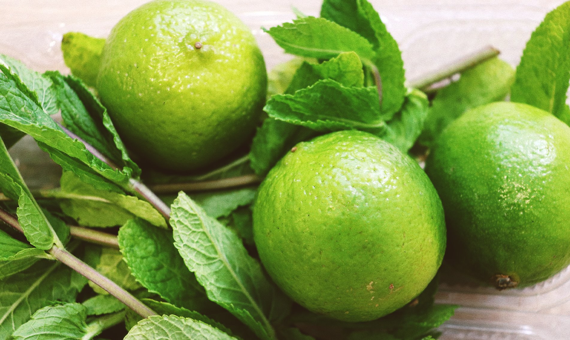 Lime เชิงพฤกษศาสตร์