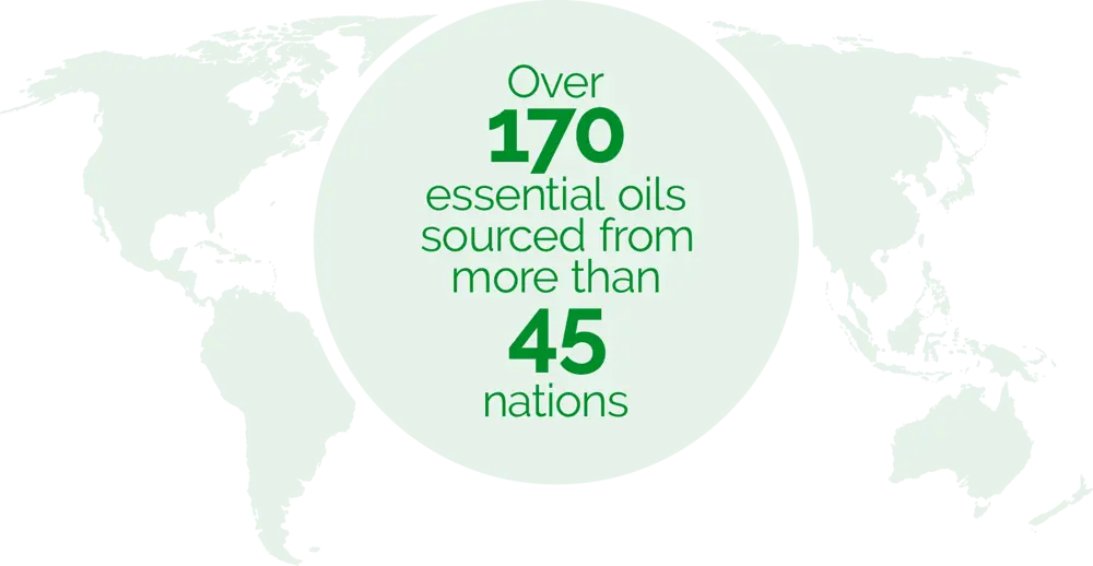 กราฟิกการจัดหาแหล่งของ doTERRA