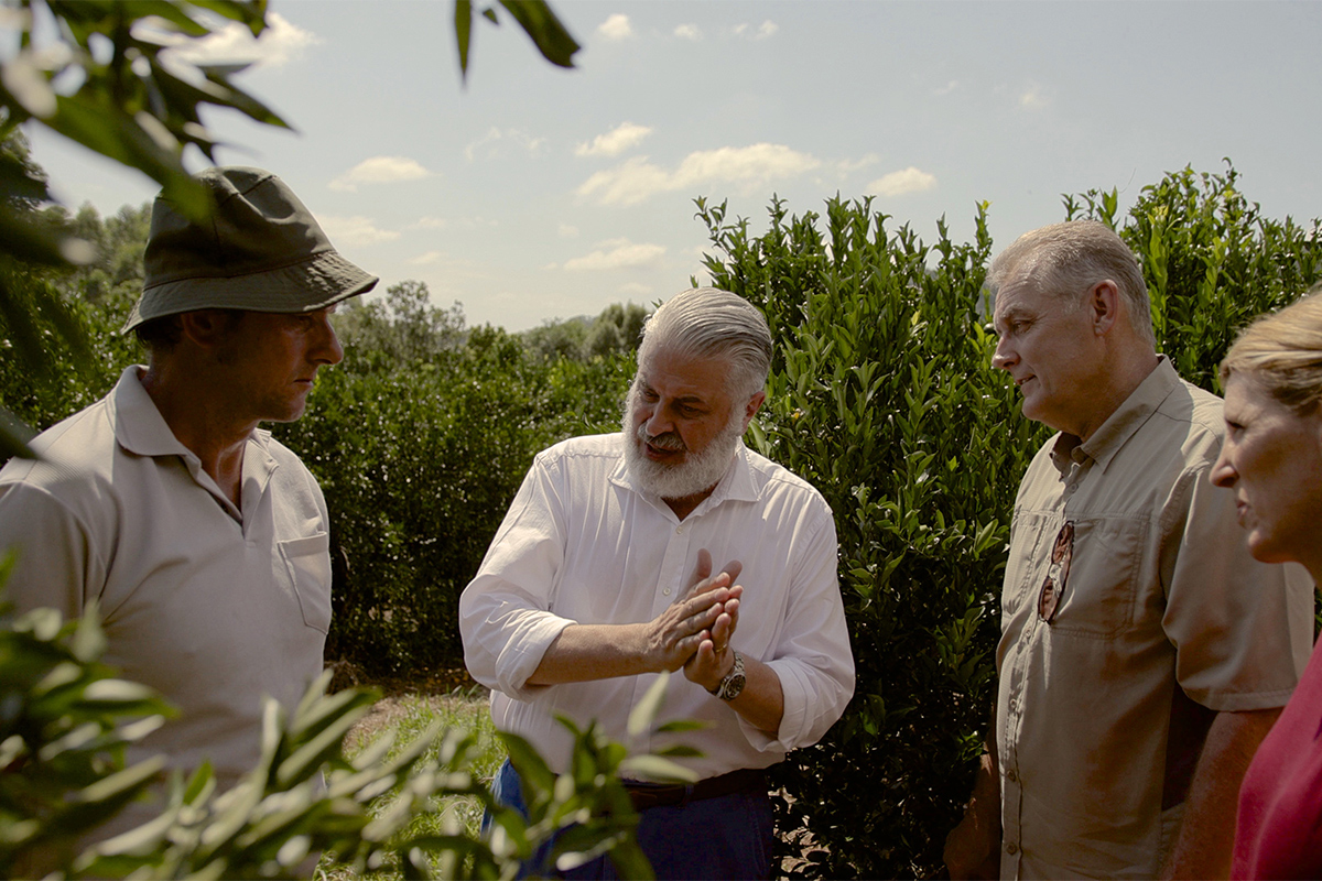 red-mandarin-enzo-into-emily-dr-hill-to-farmer-1200x800-global.jpg