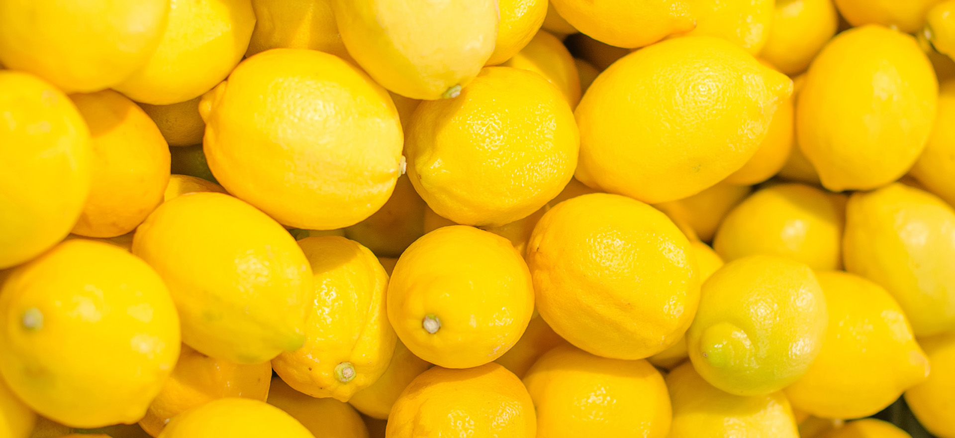 lemon-botanical-1920x960-global.jpg
