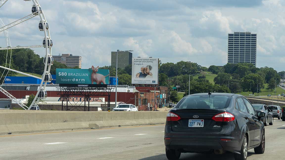 Laser Derm Med Spa billboard in Kansas City’s Crossroads neighborhood with hairless cat and $80 Brazilian offer