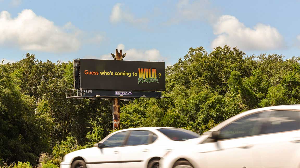  Wild Florida billboard and mobile ad