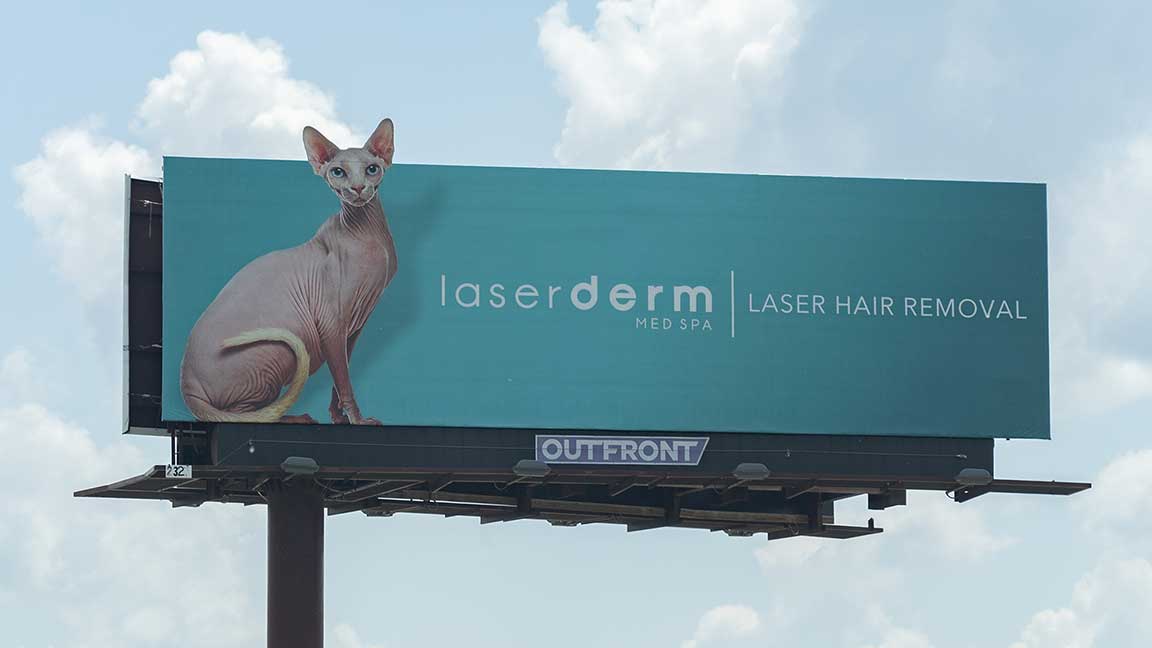 Laser Derm Med Spa billboard in Kansas City with hairless cat