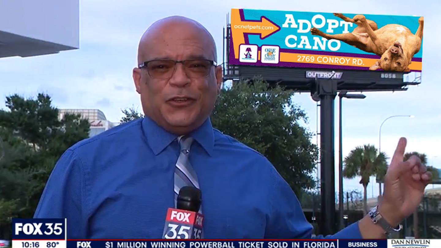 orange county animal services digital billboard advertising in orlando florida on fox tv