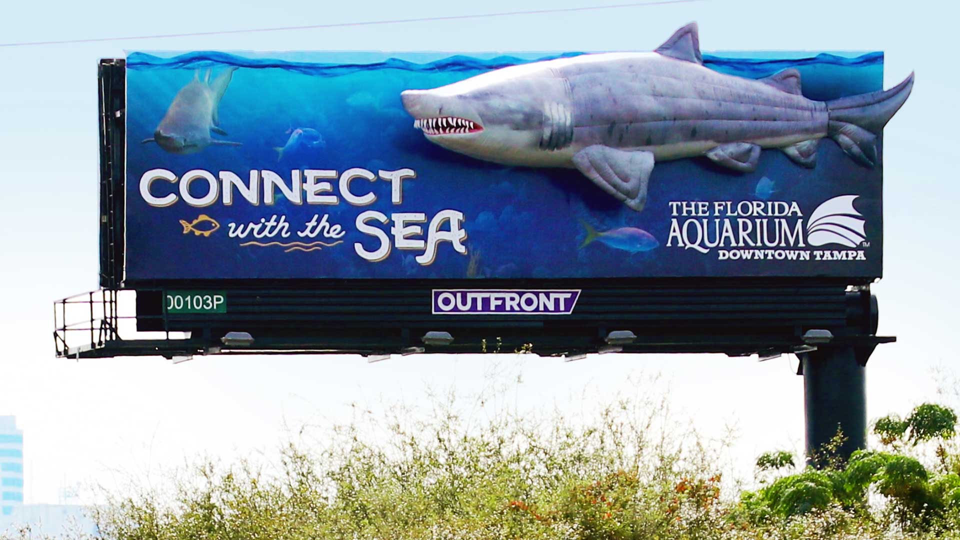 Florida Aquarium billboard with 3D shark prop