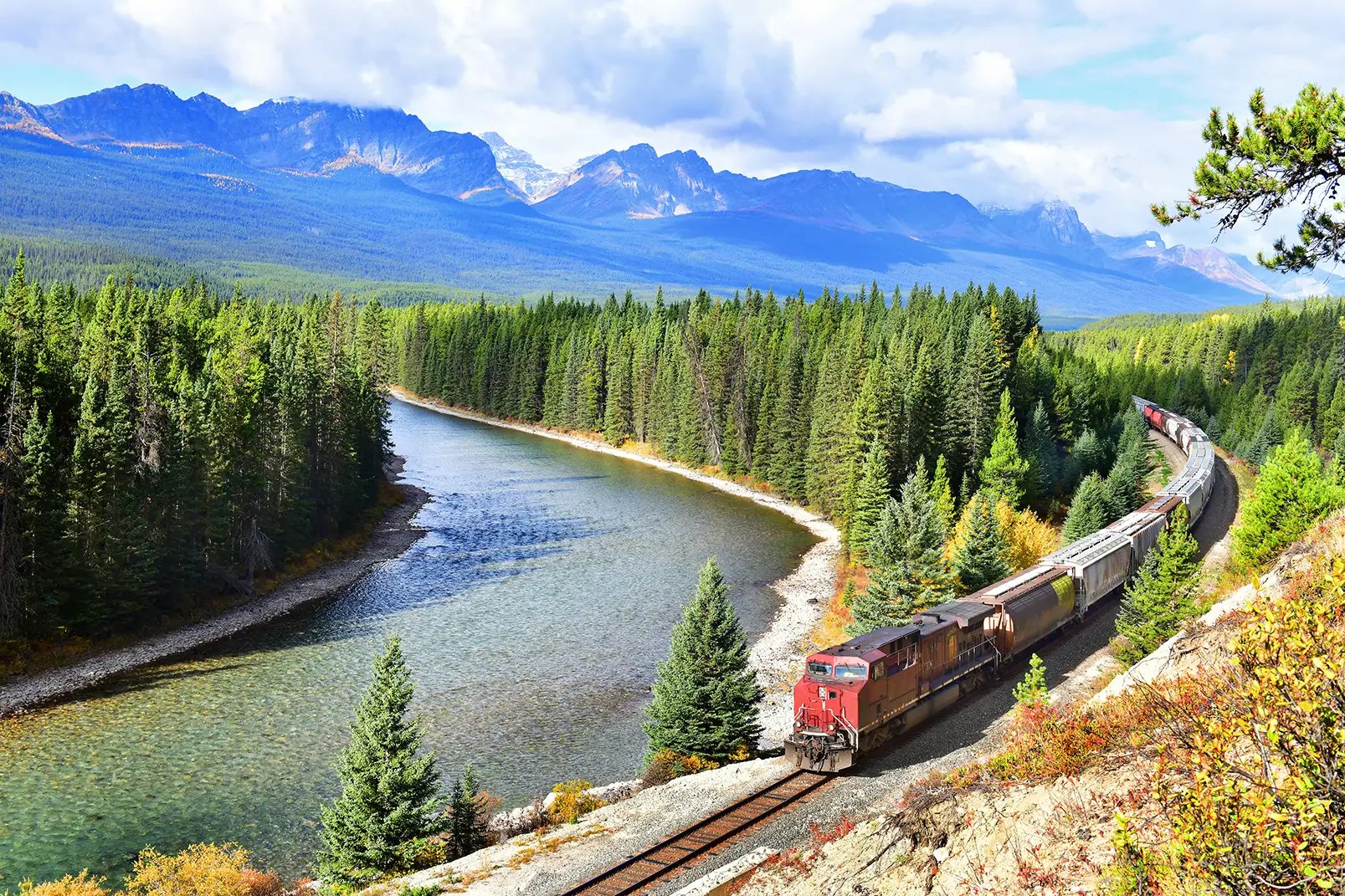 Train passing by a river running through a coniferous forest.