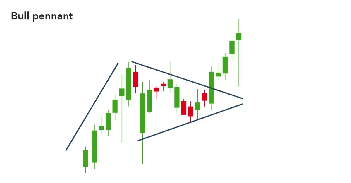 Bull pennant