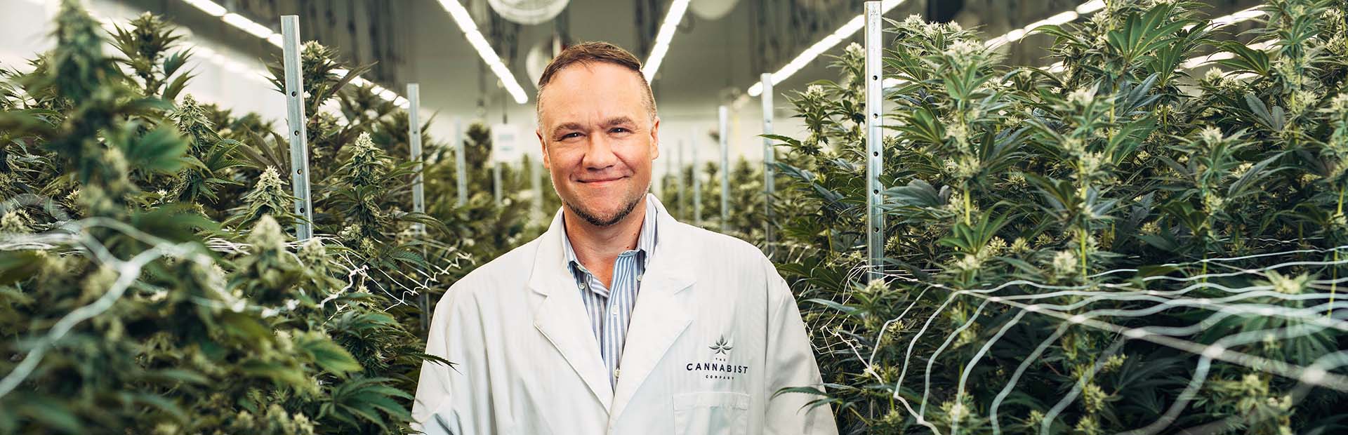 A smiling man wearing a white lab coat with 'The Cannabist Company' logo stands in the middle of a cannabis cultivation facility. He is surrounded by tall, mature cannabis plants supported by netting, with bright overhead grow lights illuminating the space. 