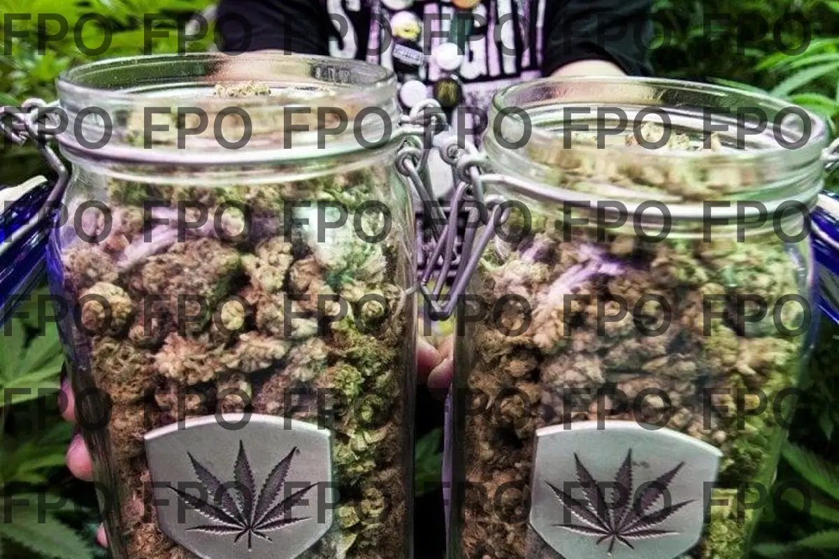 about_2_fpo