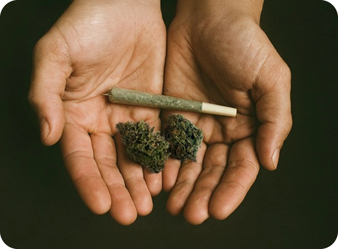 Two open hands holding a rolled joint and two cannabis buds against a dark background. 