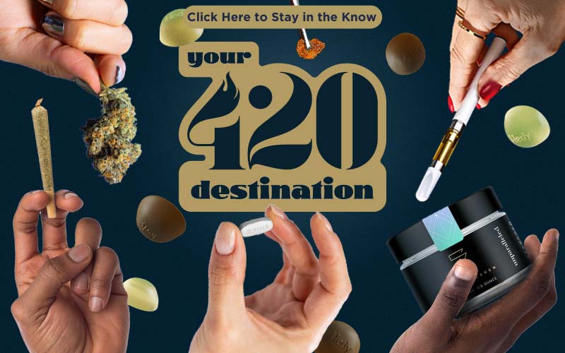 your-420-destination-product-family-a.jpg