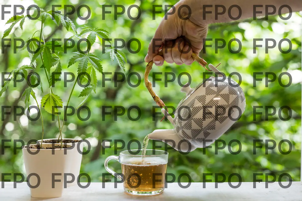 blog_fpo