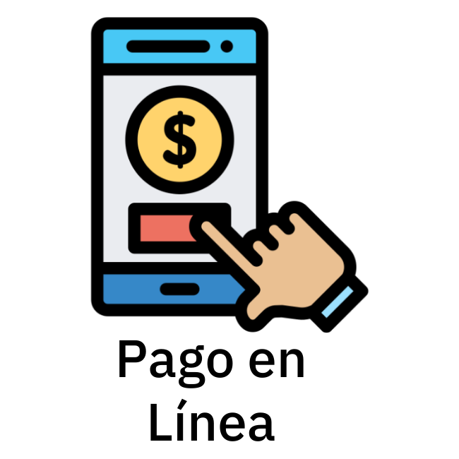 Pago_en_línea.png