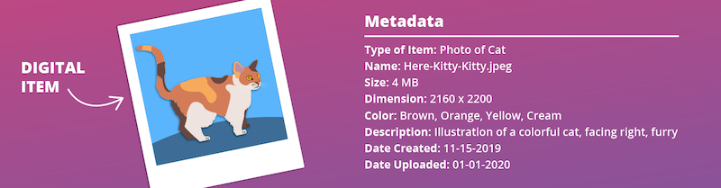 metadata-example-cat-photo.png
