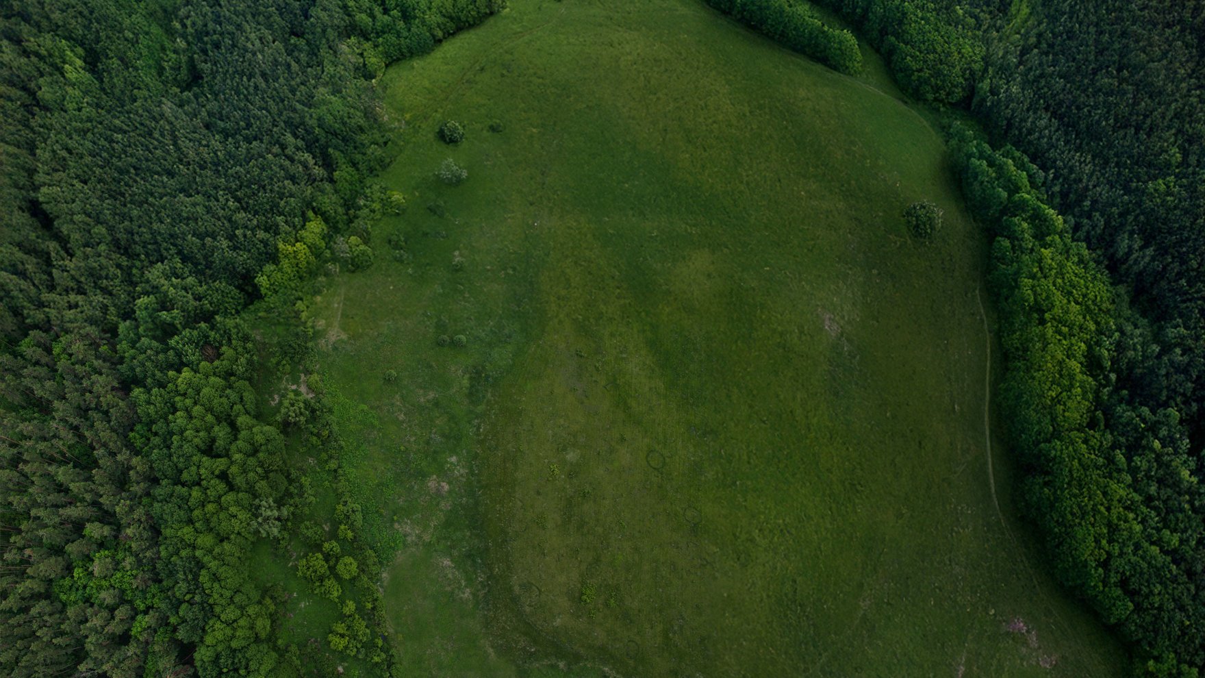 View on Your Property