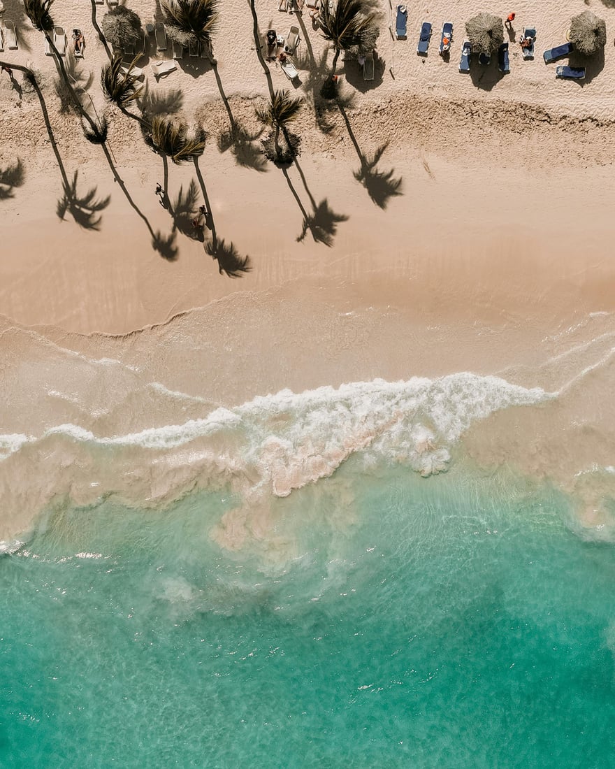 A high-angle shot captures a vibrant beach scene. Palm trees cast shadows on the sand, meeting gentle waves and clear turquoise water.