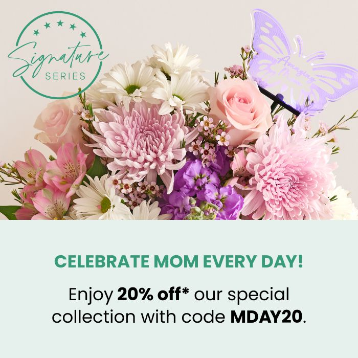 MDay20