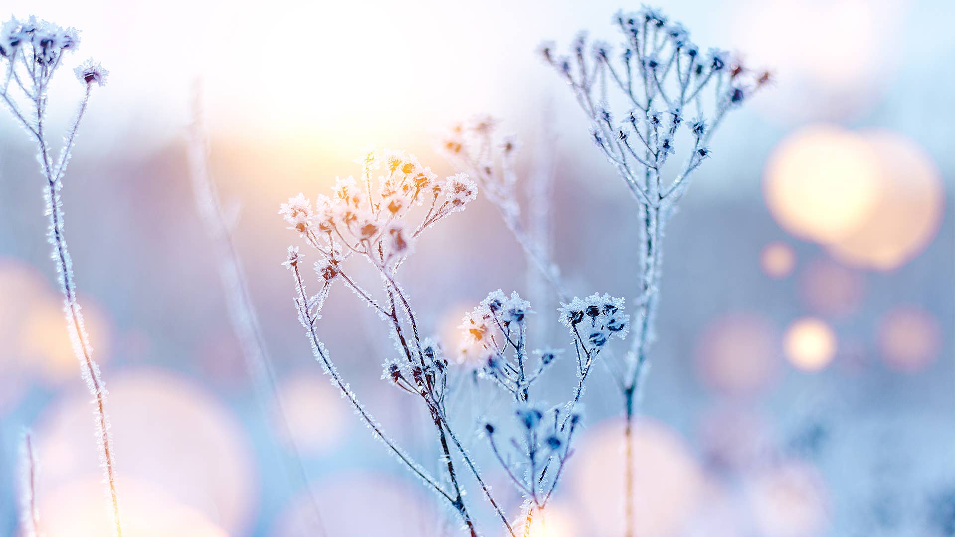 Winter 3