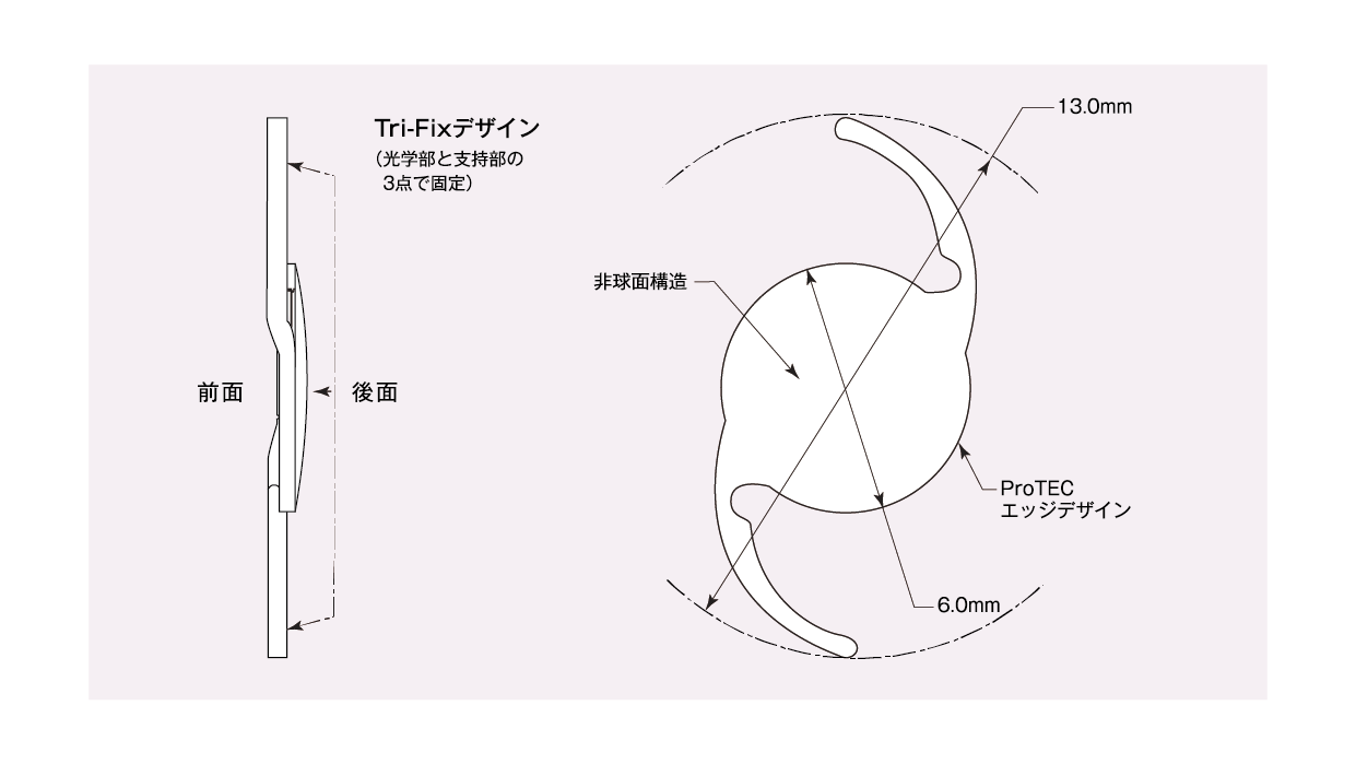 青色光は全身の健康、気分や睡眠に関係するメランプシン感度を増加させます