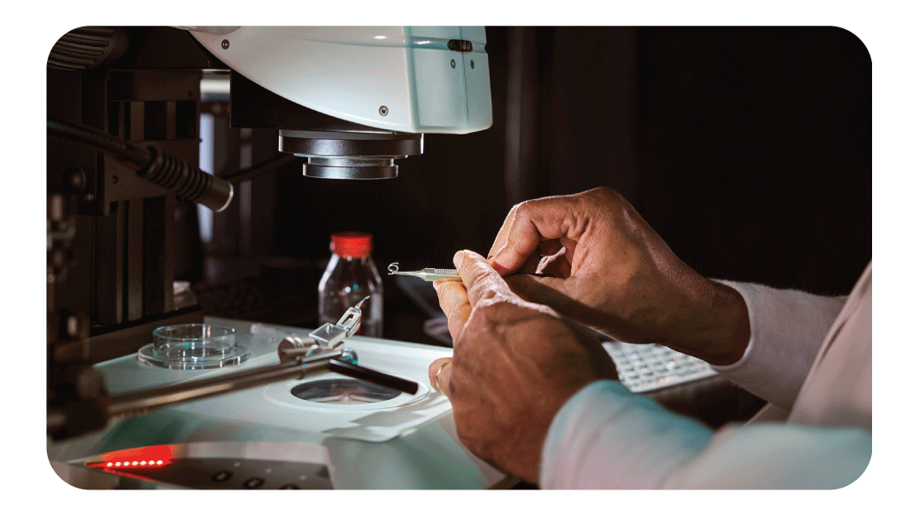 Additional IOL & Implants