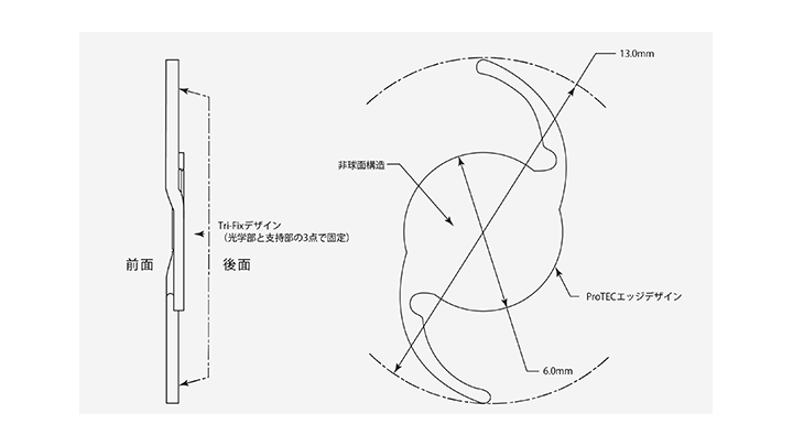 青色光は全身の健康、気分や睡眠に関係するメランプシン感度を増加させます