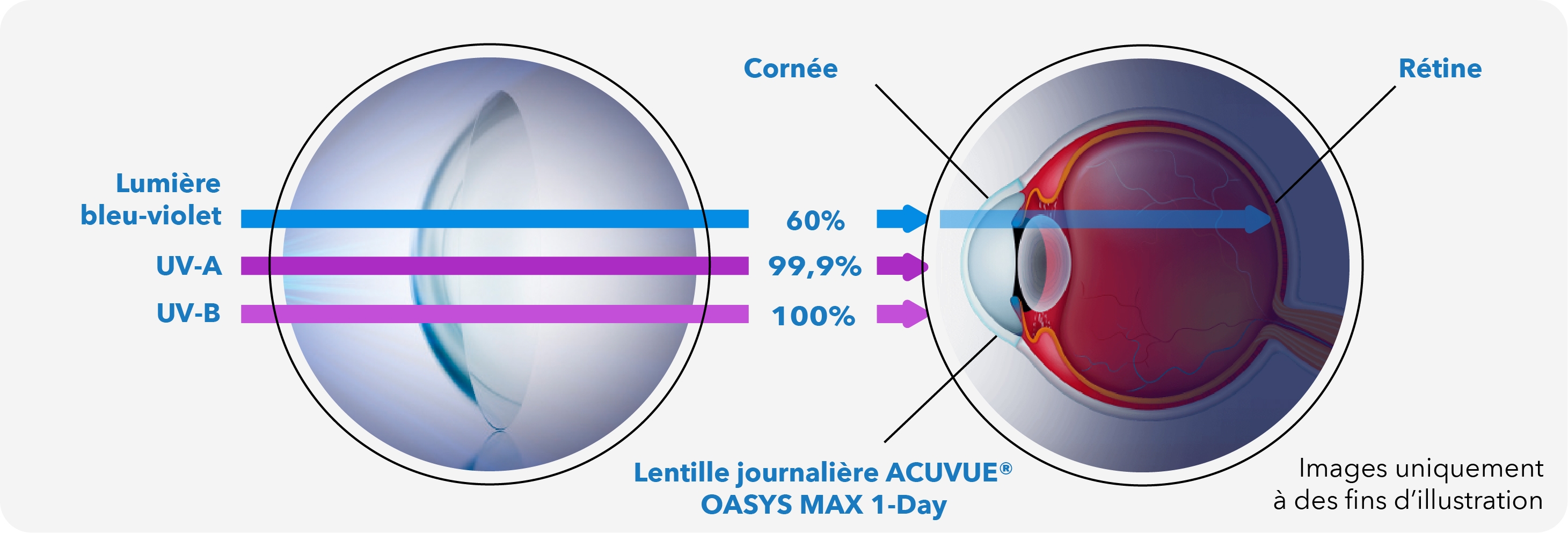L'illustration du filtre avec description