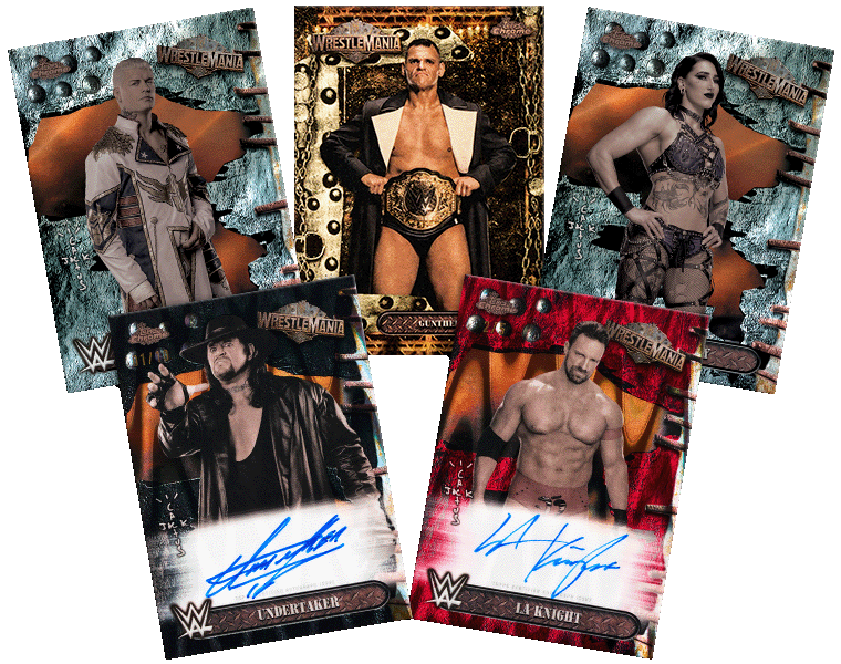 その他 TOPPS s-l400.jpg