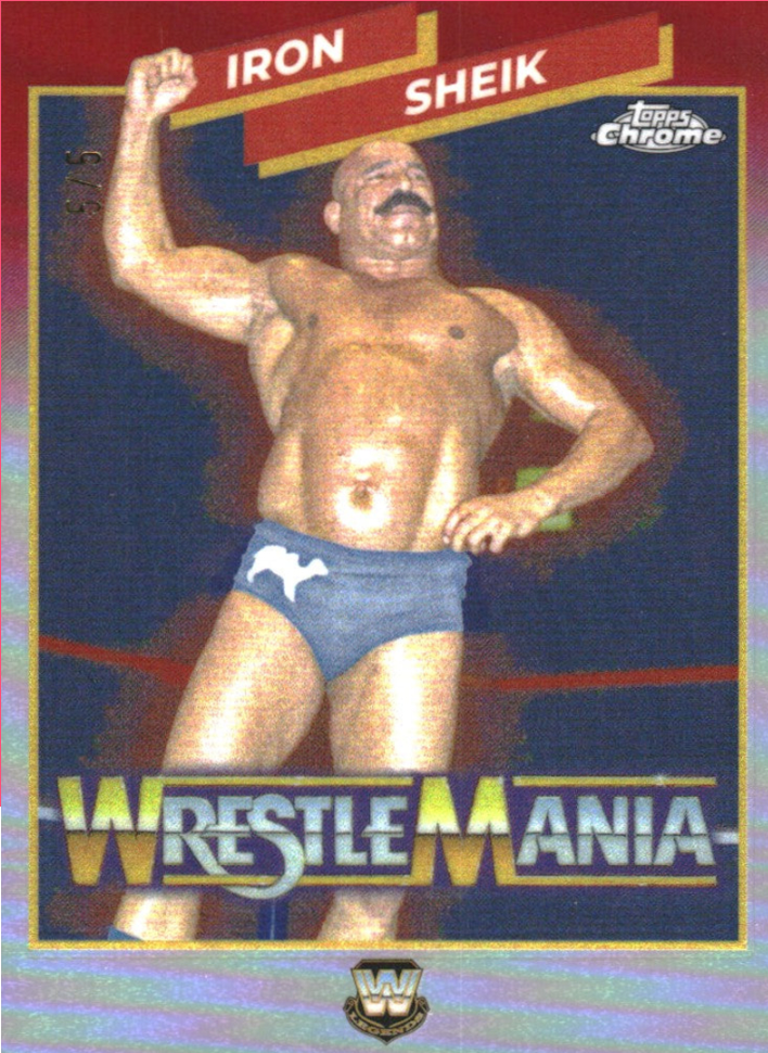 ECW プロレスカード　ジ・イリミネーターズ 20190423_055408.jpg