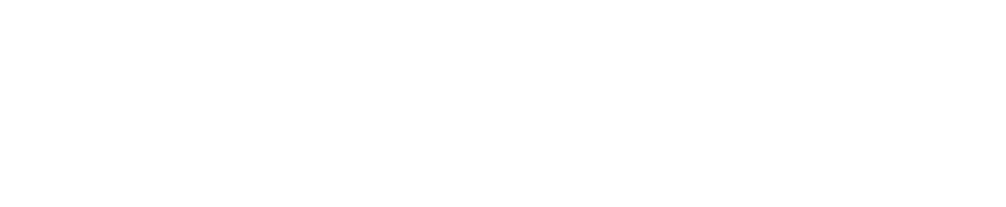 Fanatics_company_logo-2048x422.png
