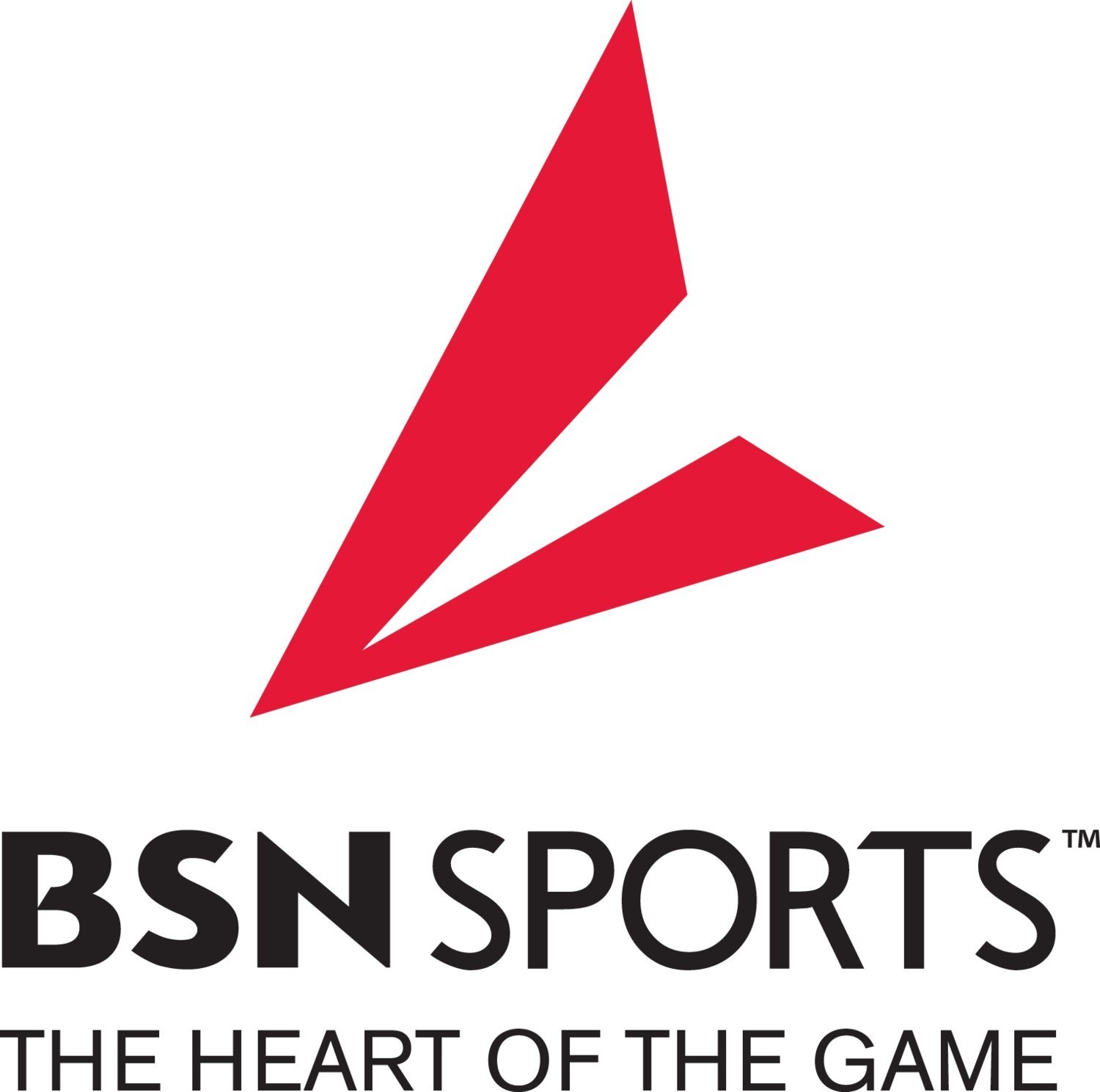 BSN SPORTS Logo