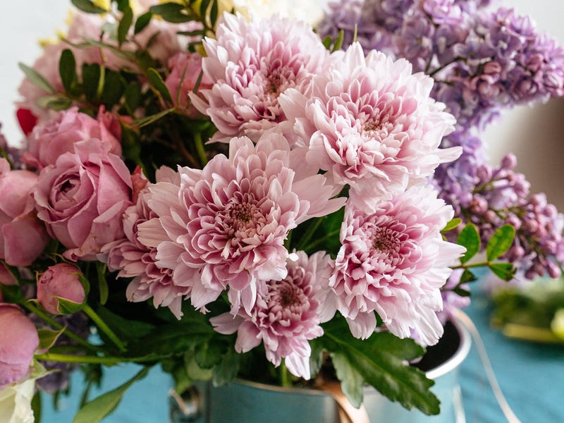 Flores en francés, aprende a nombrarlas todas