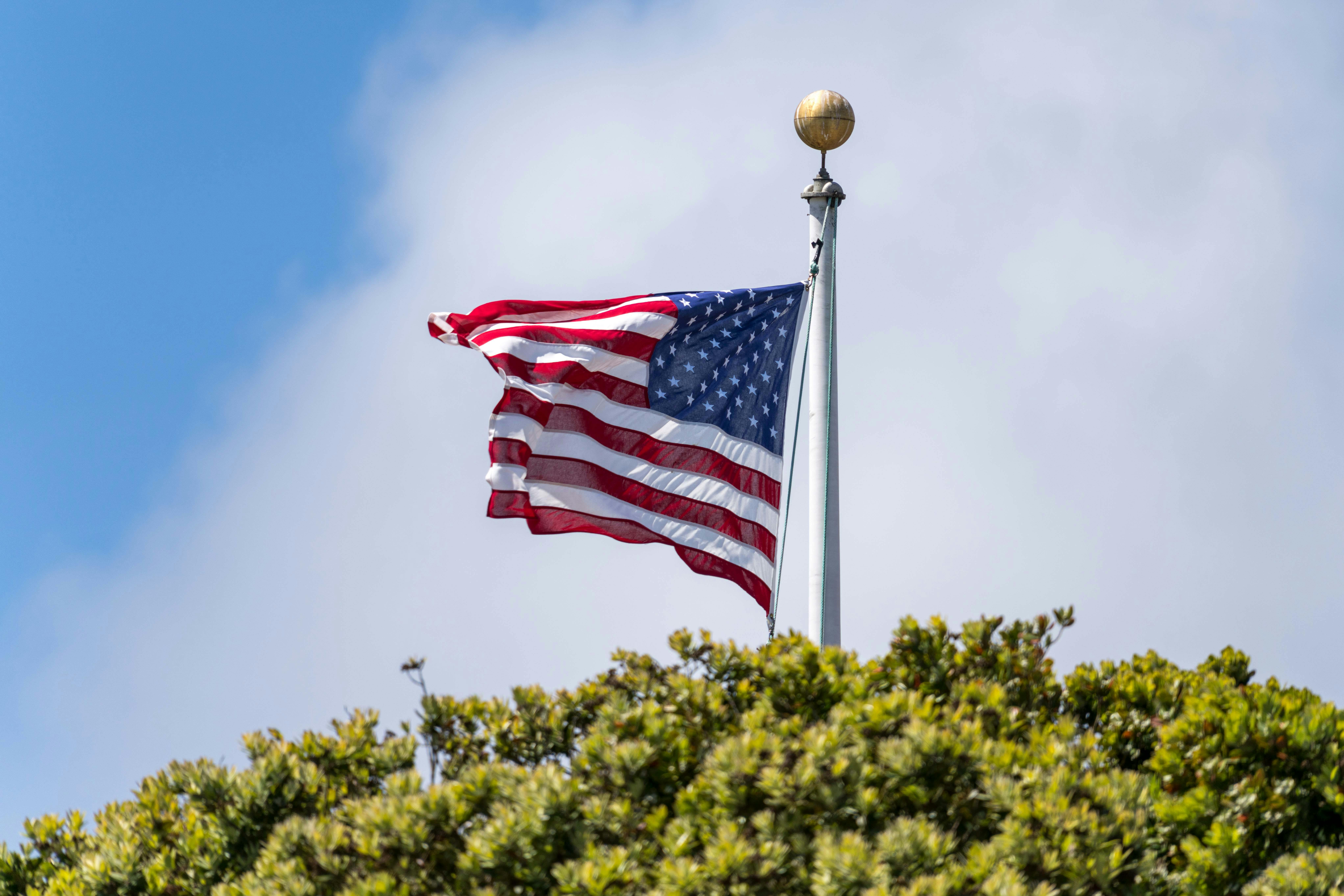 Bandera de Estados Unidos al lado de un árbol.