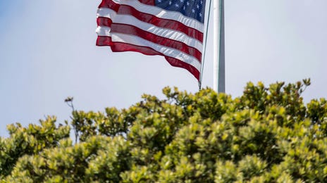 Bandera de Estados Unidos al lado de un árbol.
