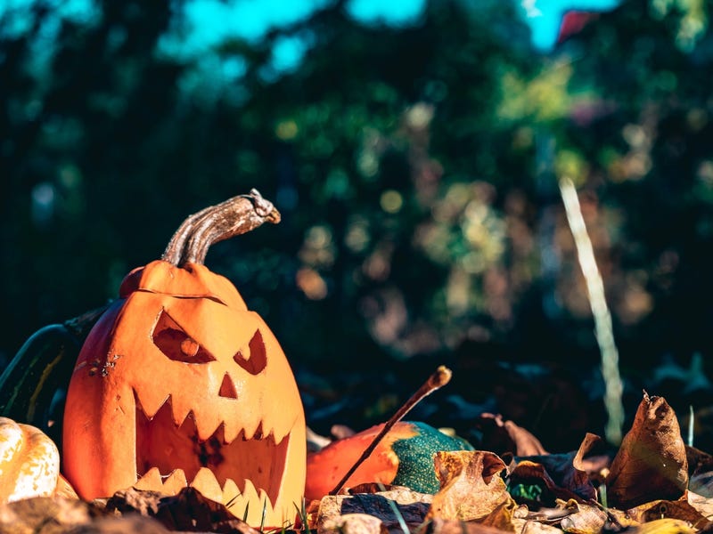 Frases de halloween en inglés