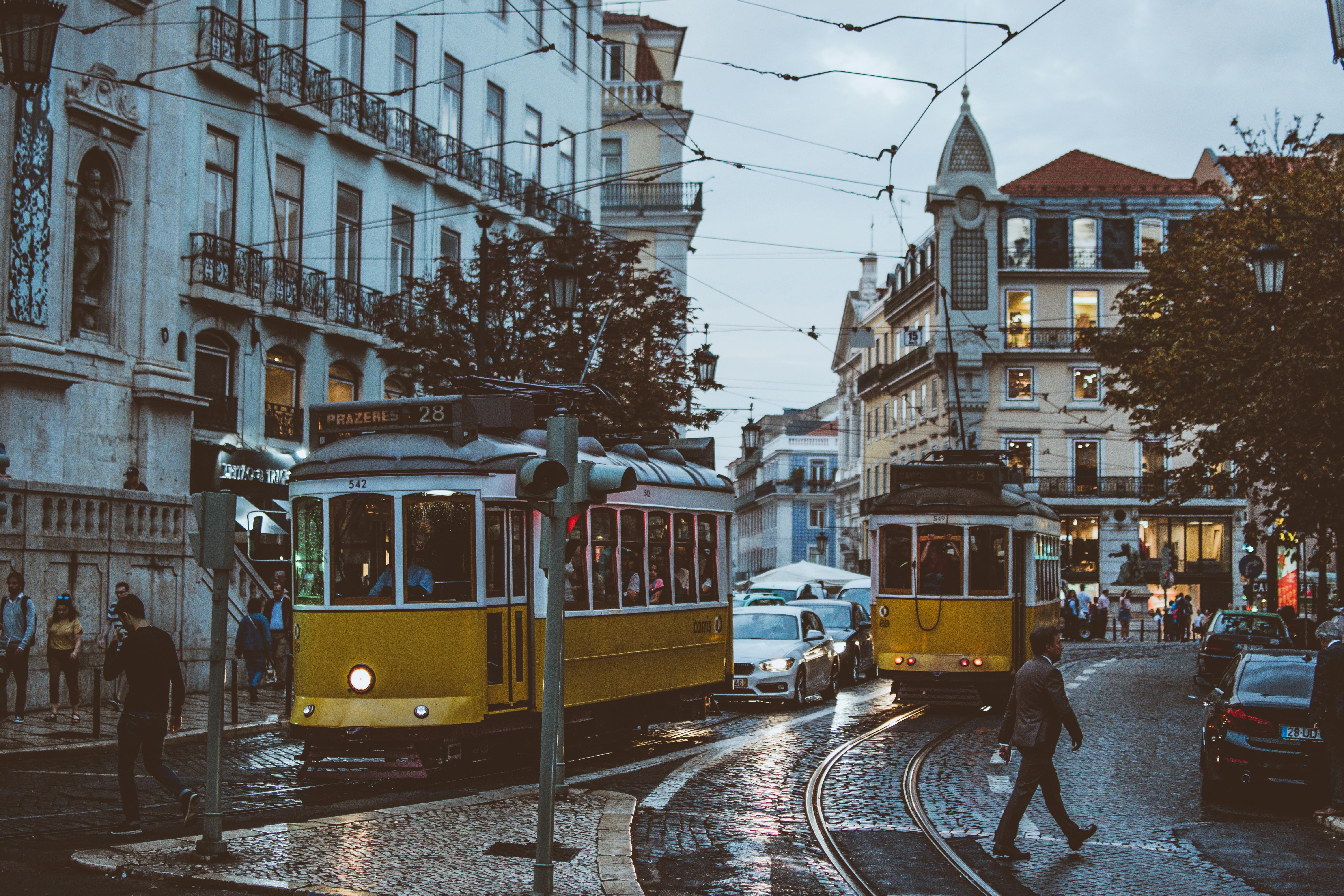 pexels-fotios-photos-1534560.jpg