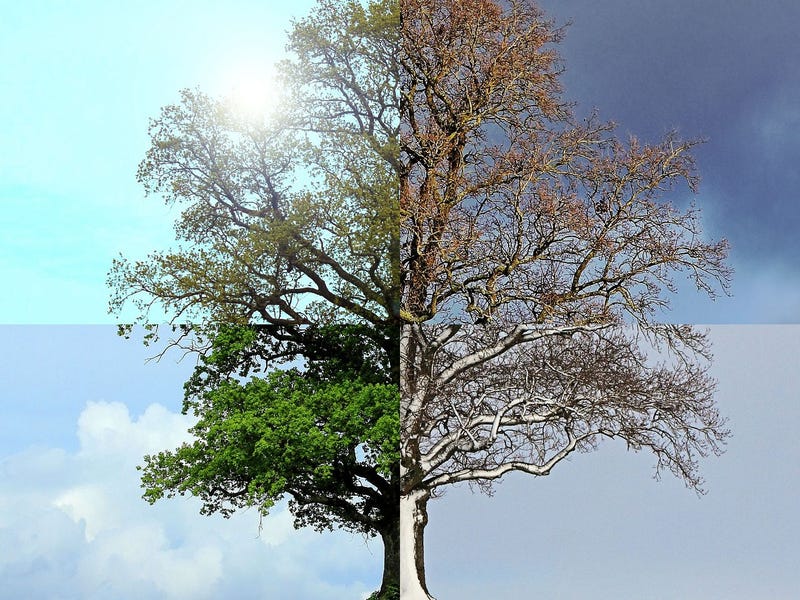 Estaciones del año en inglés