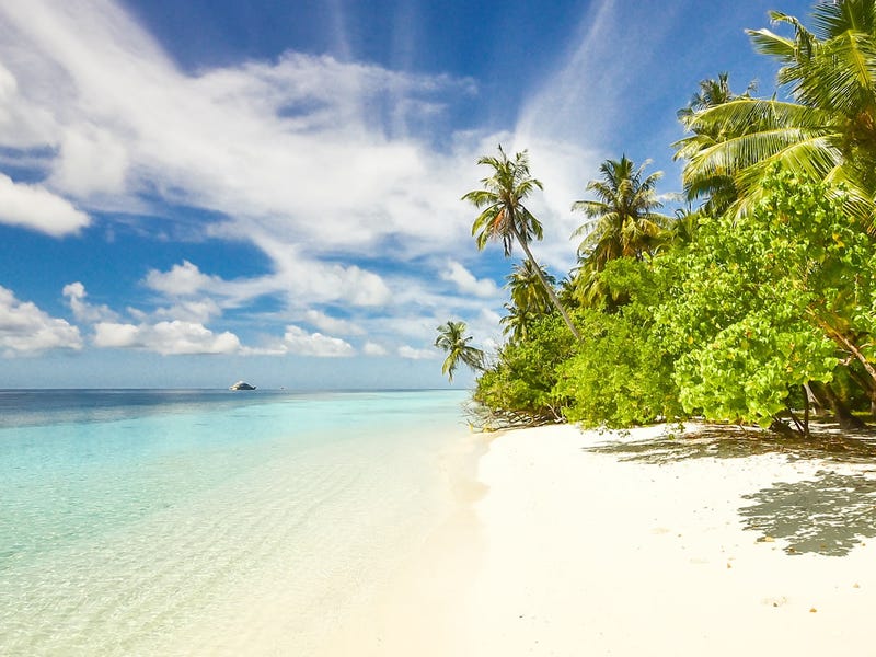 Estaciones del año en francés