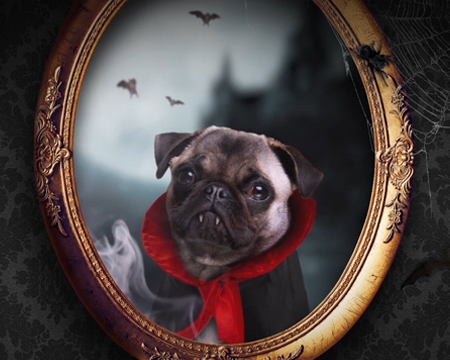 From silly scares to wickedly cute, share the Halloween spirit with ecards. image