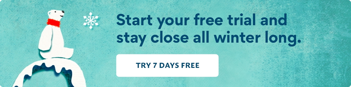 Start your free trial winter polar bear banner