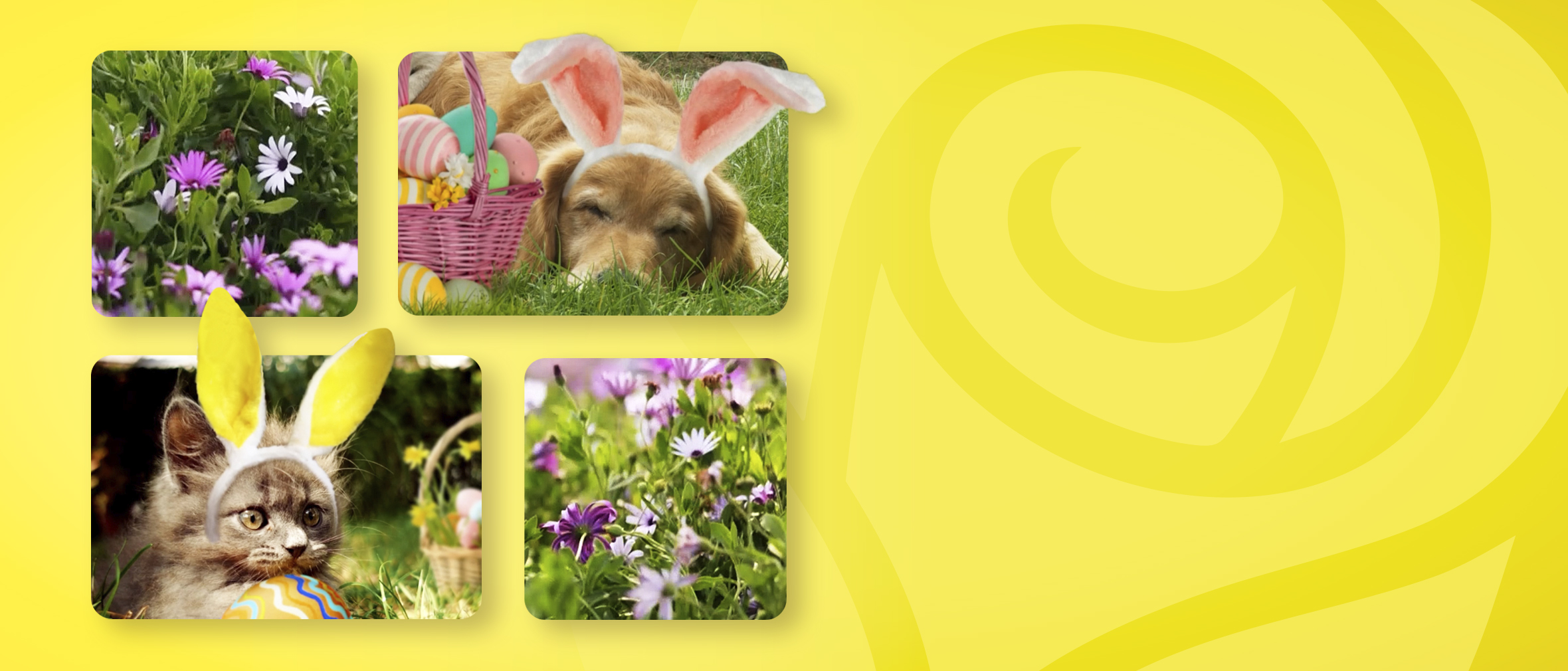 Easter ecards on a yellow background with a rose.