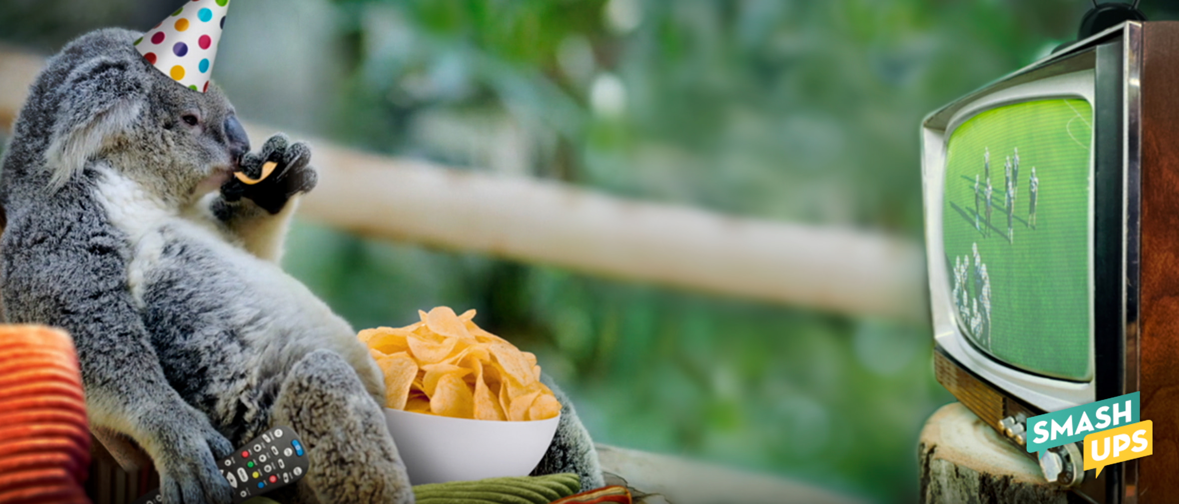 A koala wearing a party hat, eating a bowl of potato chips, watching a football game on a tube tv.