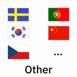 other_languages.png