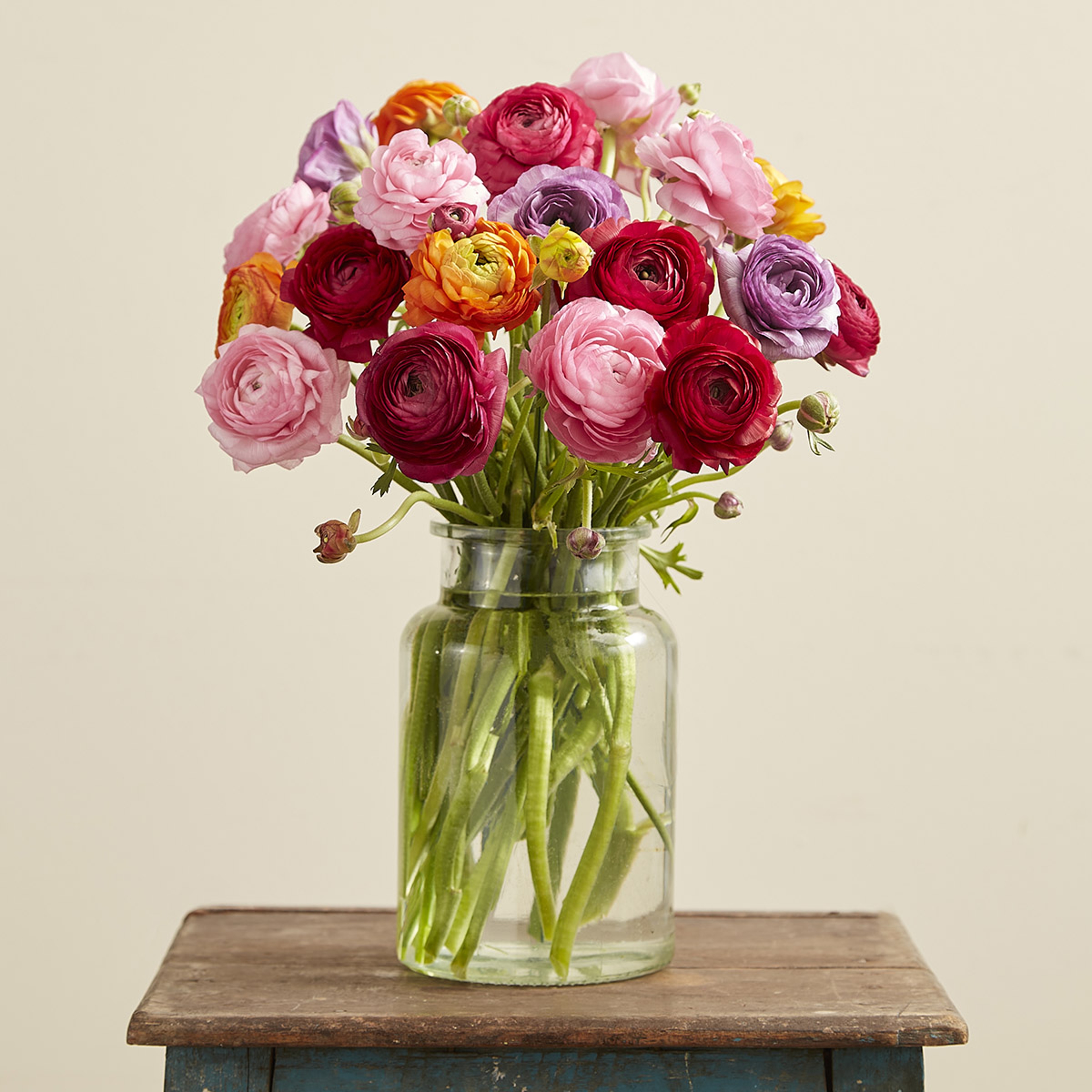 ranunculus on table