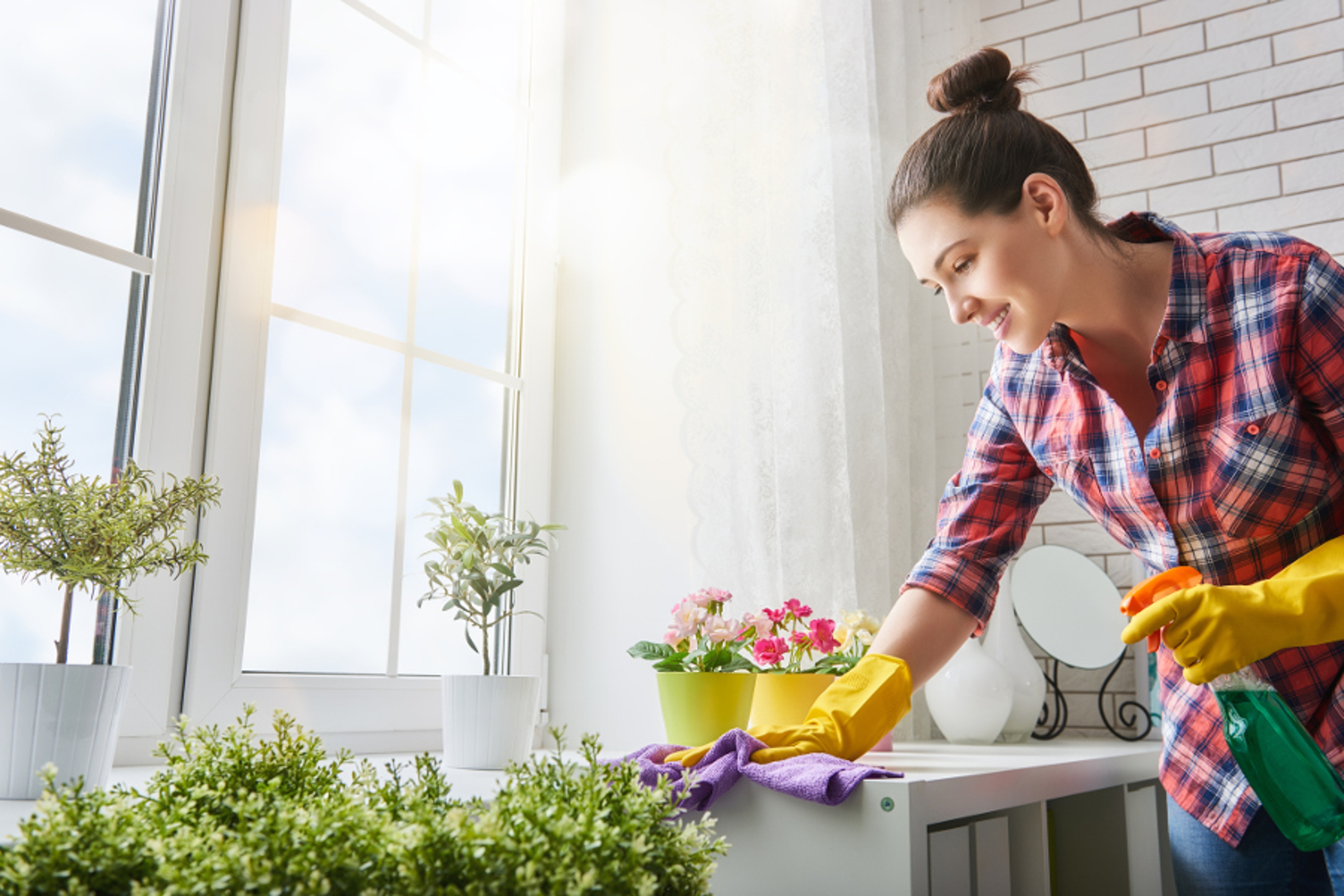 Article Cards Featured Image Beautiful young woman makes cleaning the house. Girl rubs dust.