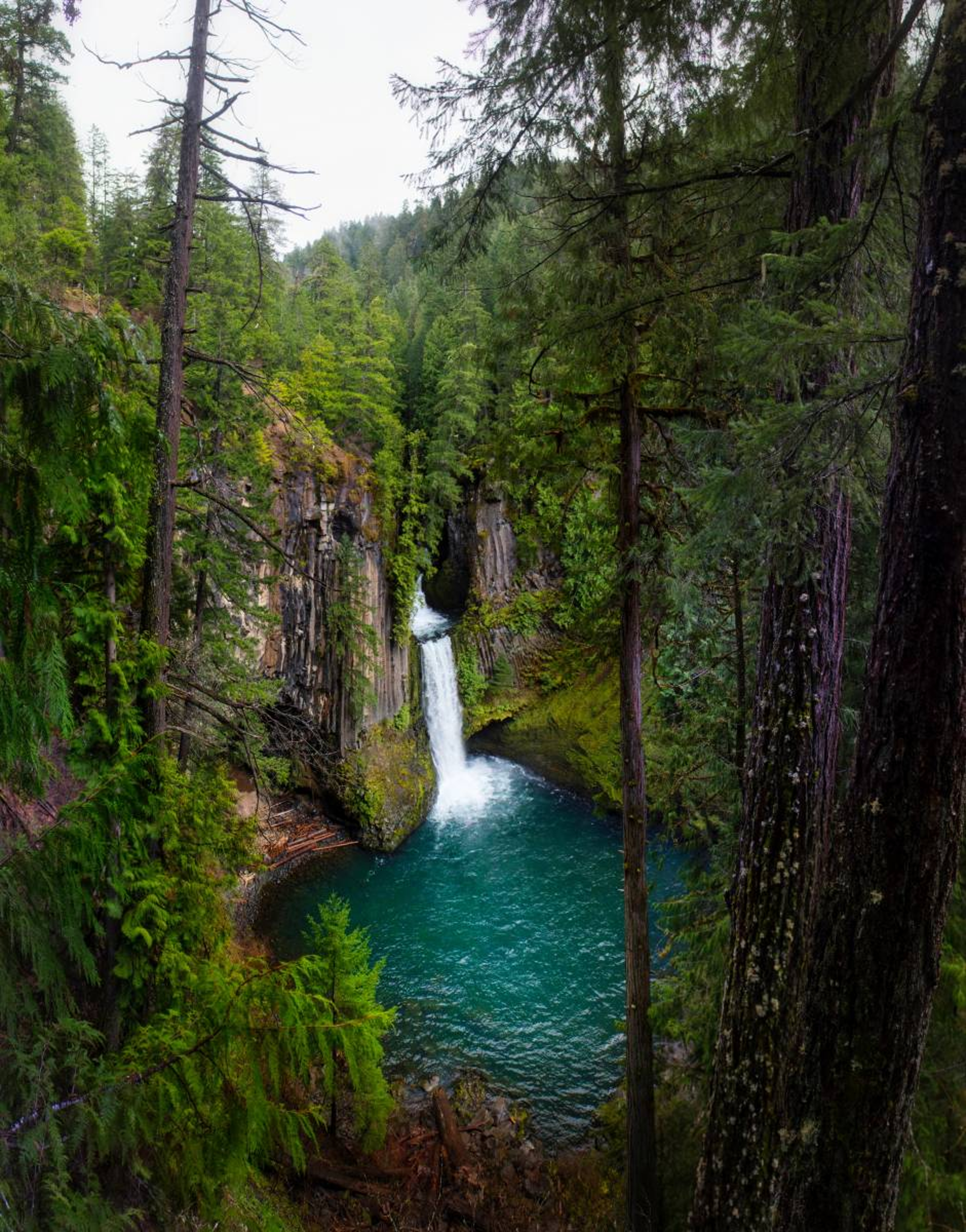 Toketee Falls waterfall in Southern Oregon