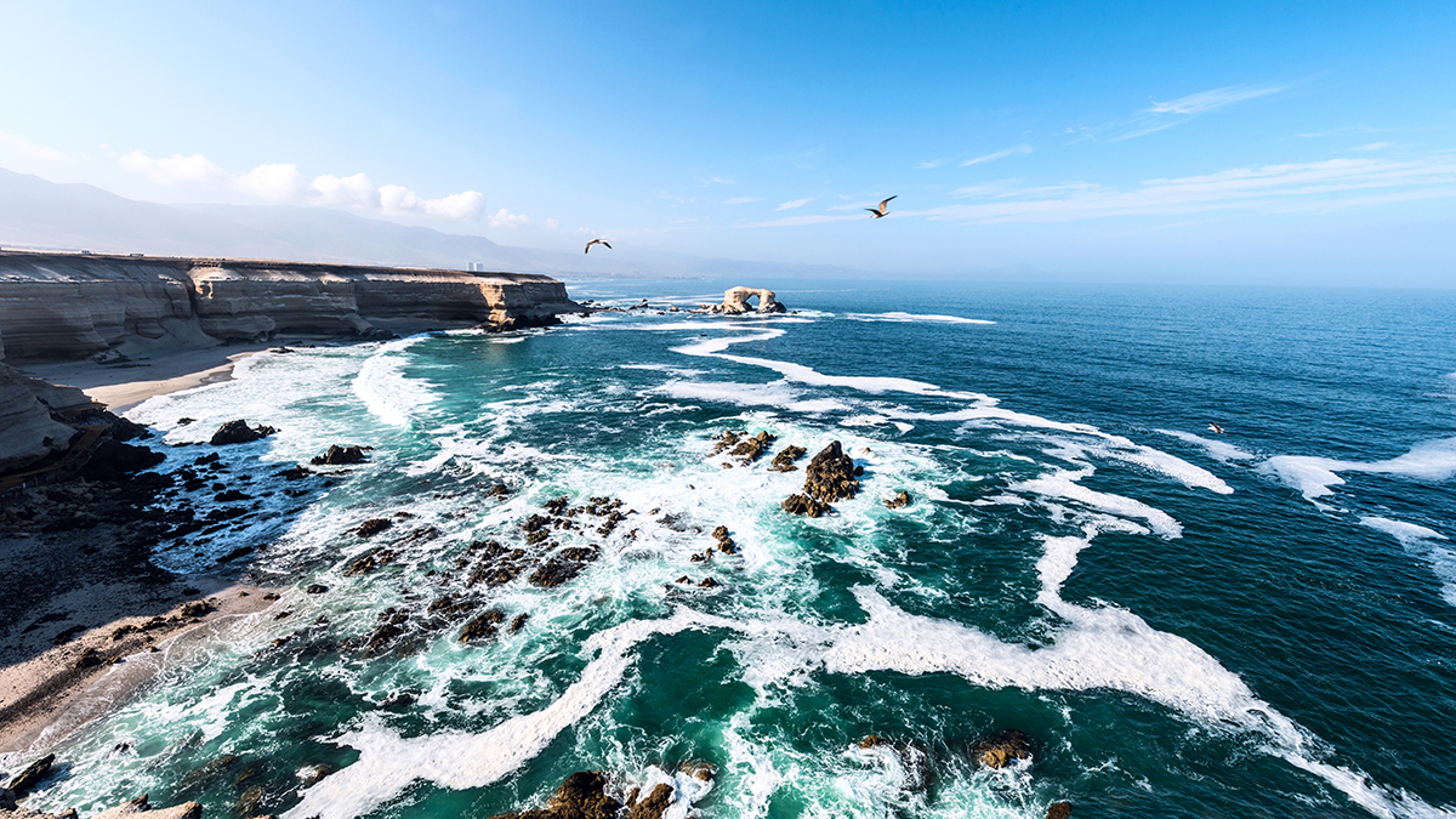 Chilean sea bass facts with an image of the Chilean coast line.