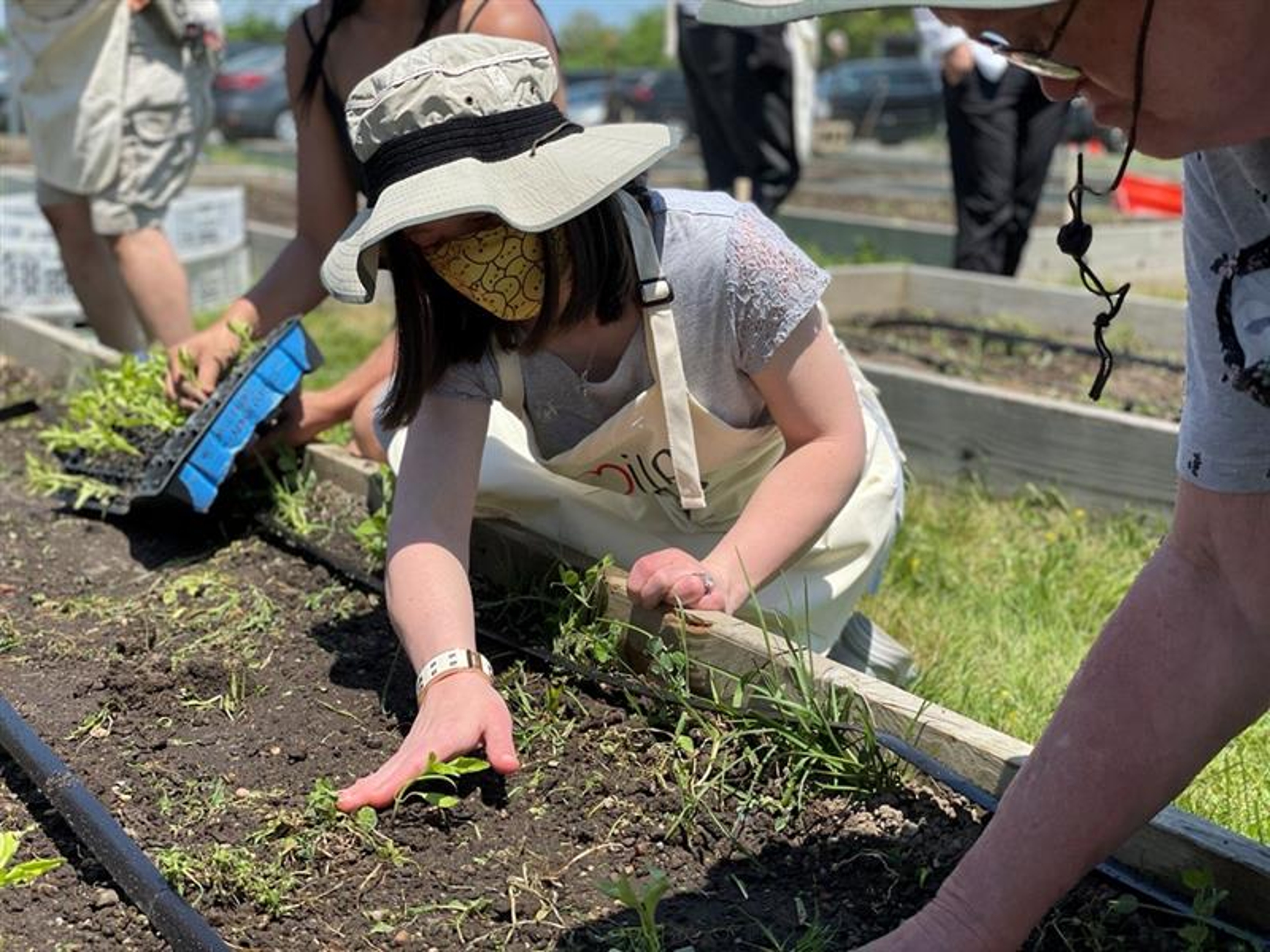 smile farms hot sauce farmer planting pepper seeds