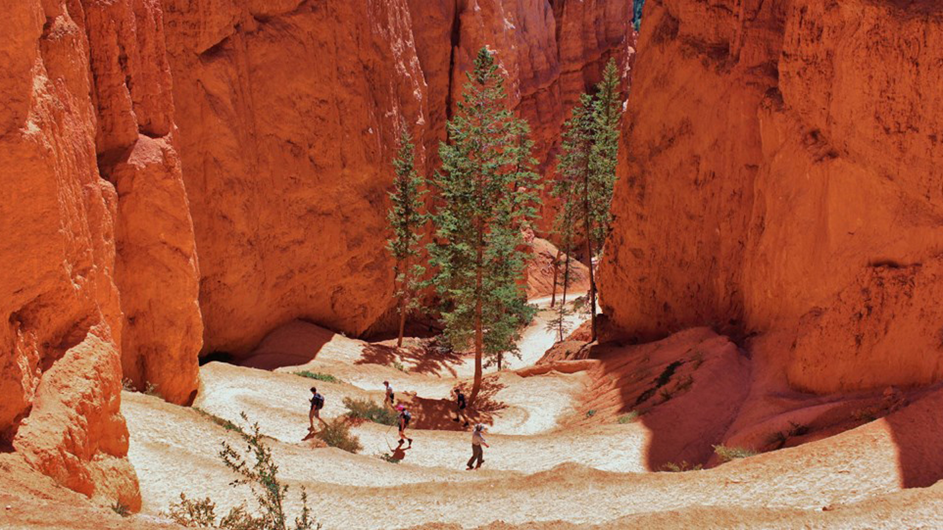 Article Cards Featured Image best hikes in us Queens Navajo Banner bryce canyon copy