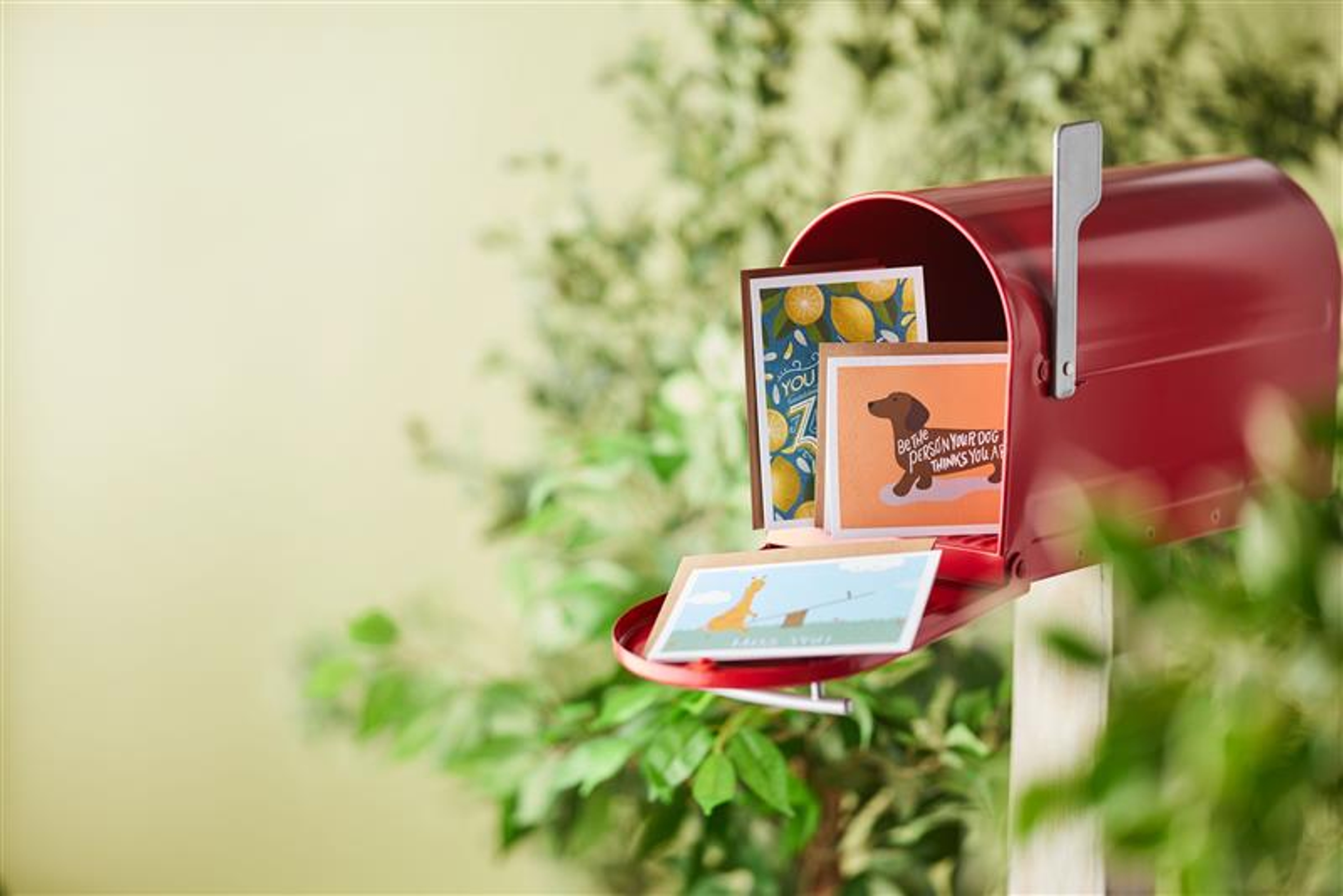 Article Cards Featured Image history of greeting cards mailbo hero