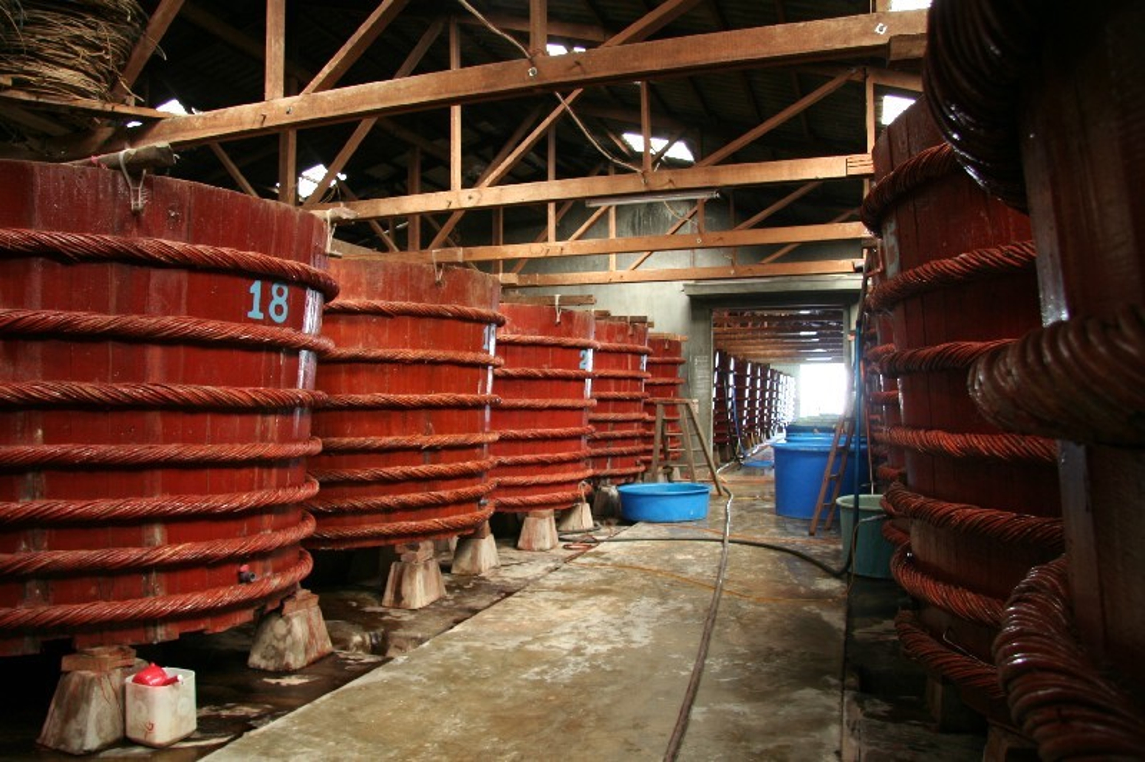 A Thai fish sauce factory featuring wooden fermentation vats.
